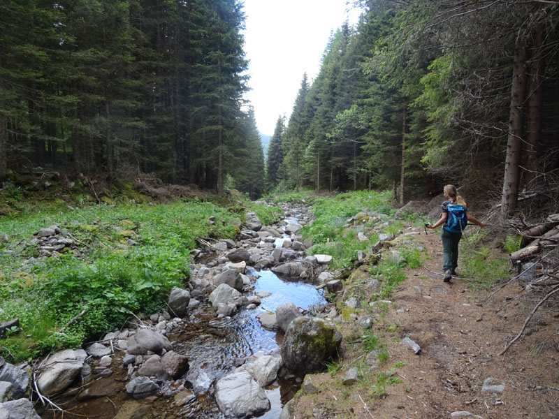 Catena dei Lagorai...da Pergine al Passo del Manghen